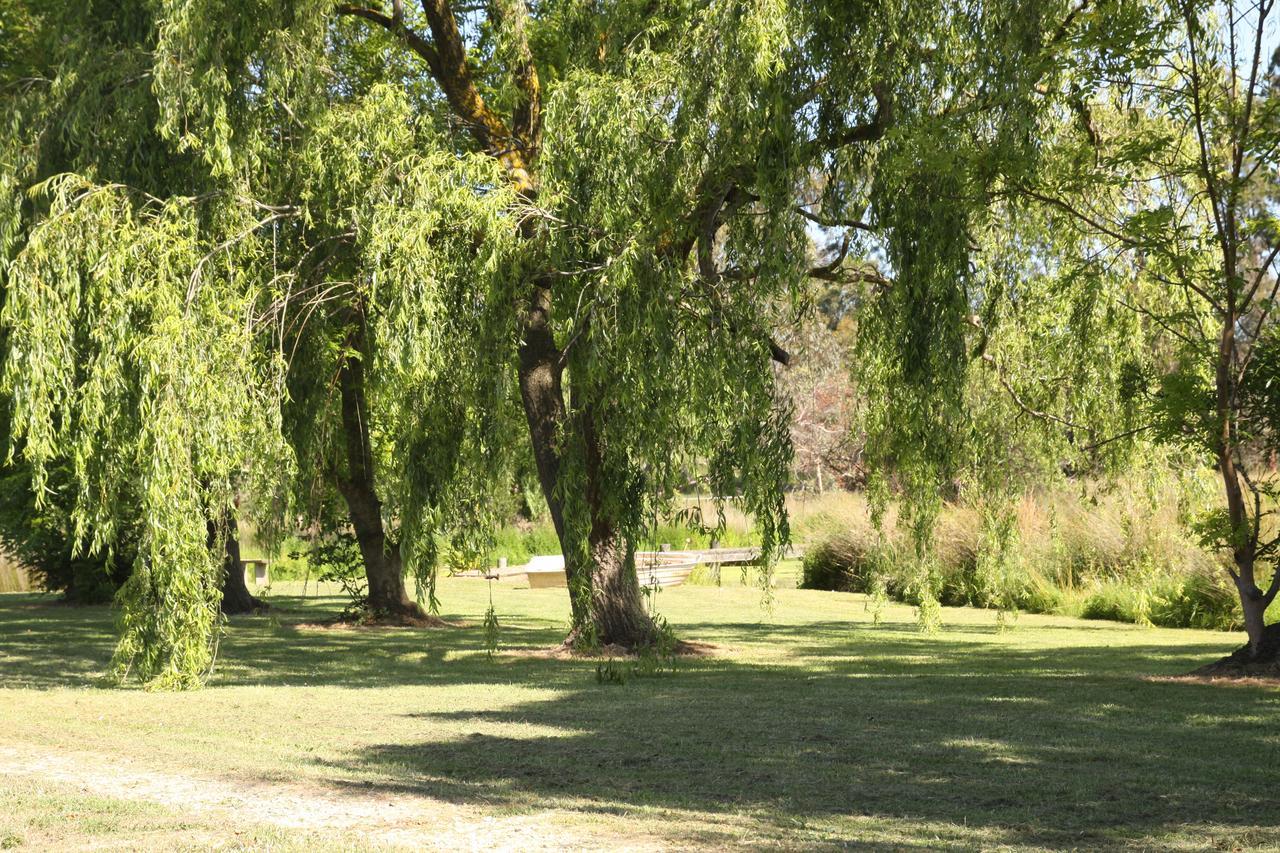 Little Lake Cottage Nyora Rum bild